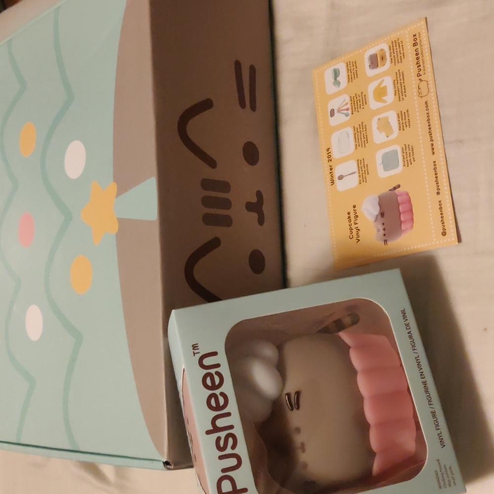 Pusheen box winter 2019 plus extras!